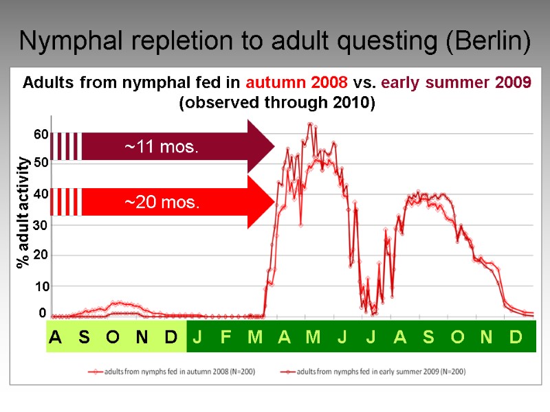 Nymphal repletion to adult questing (Berlin) 30  ~20 mos. ~11 mos. Adults from